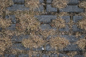 Paving_Texture_0012
