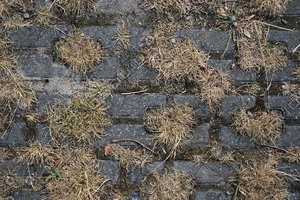 Paving_Texture_0011