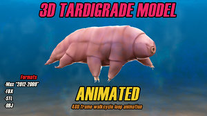 3d tardigrade animation water bear
