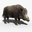 3d model wild boar fur rigged