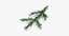 3d pine tree sprig
