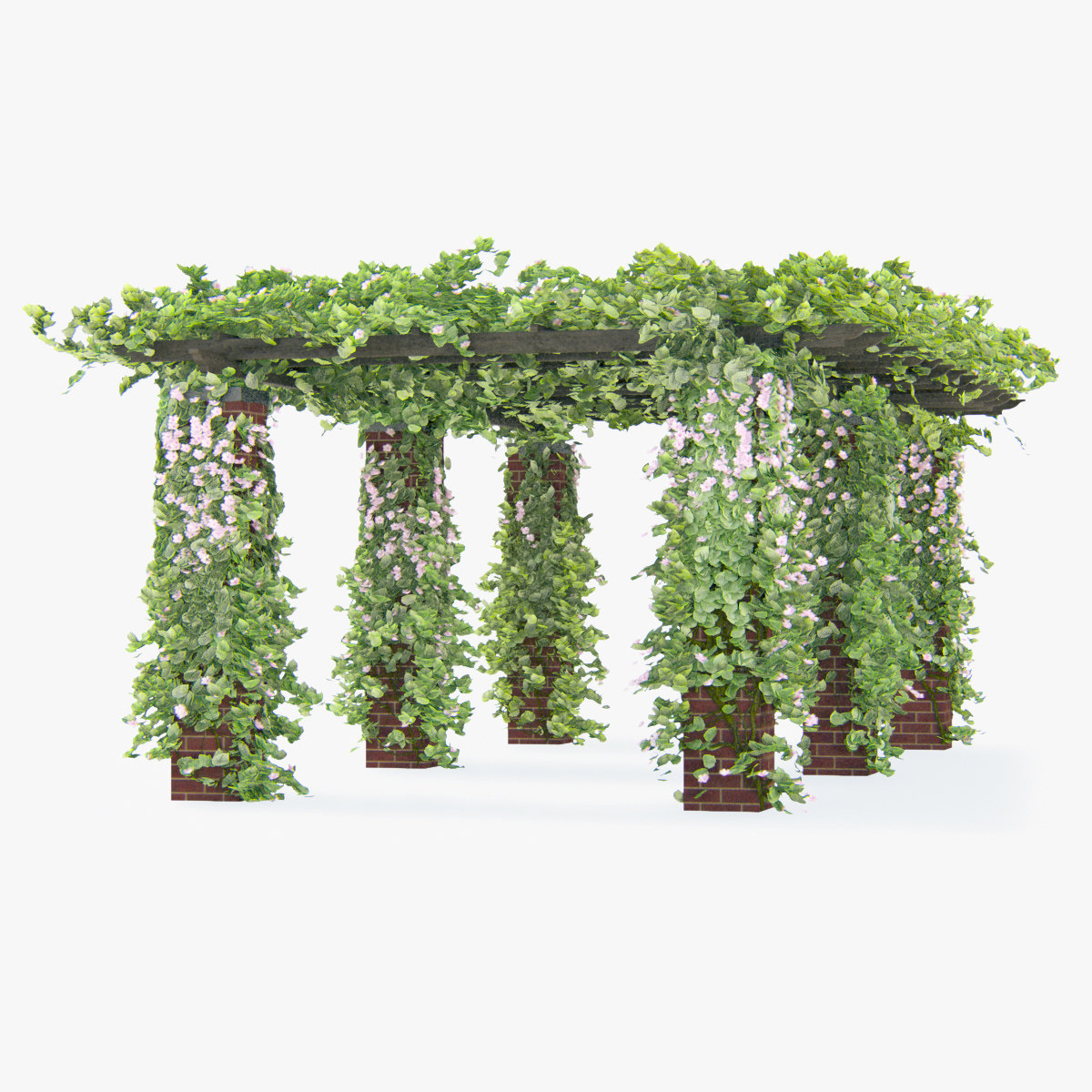 climbing roses pergola flowers 3d model