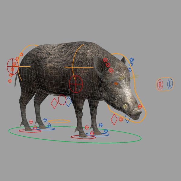 wild boar rigged 3d max