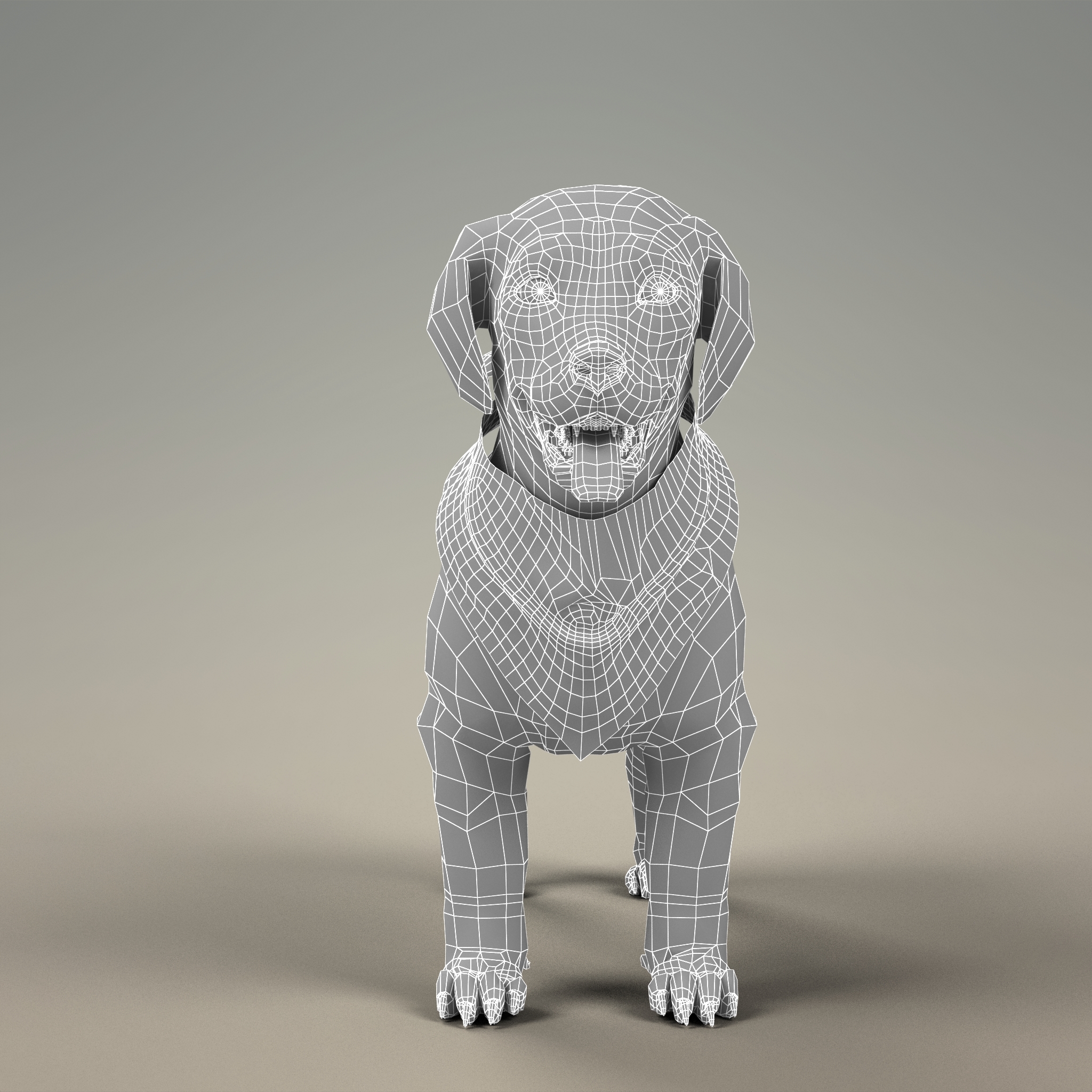 与毛皮的山狗小狗3d模型