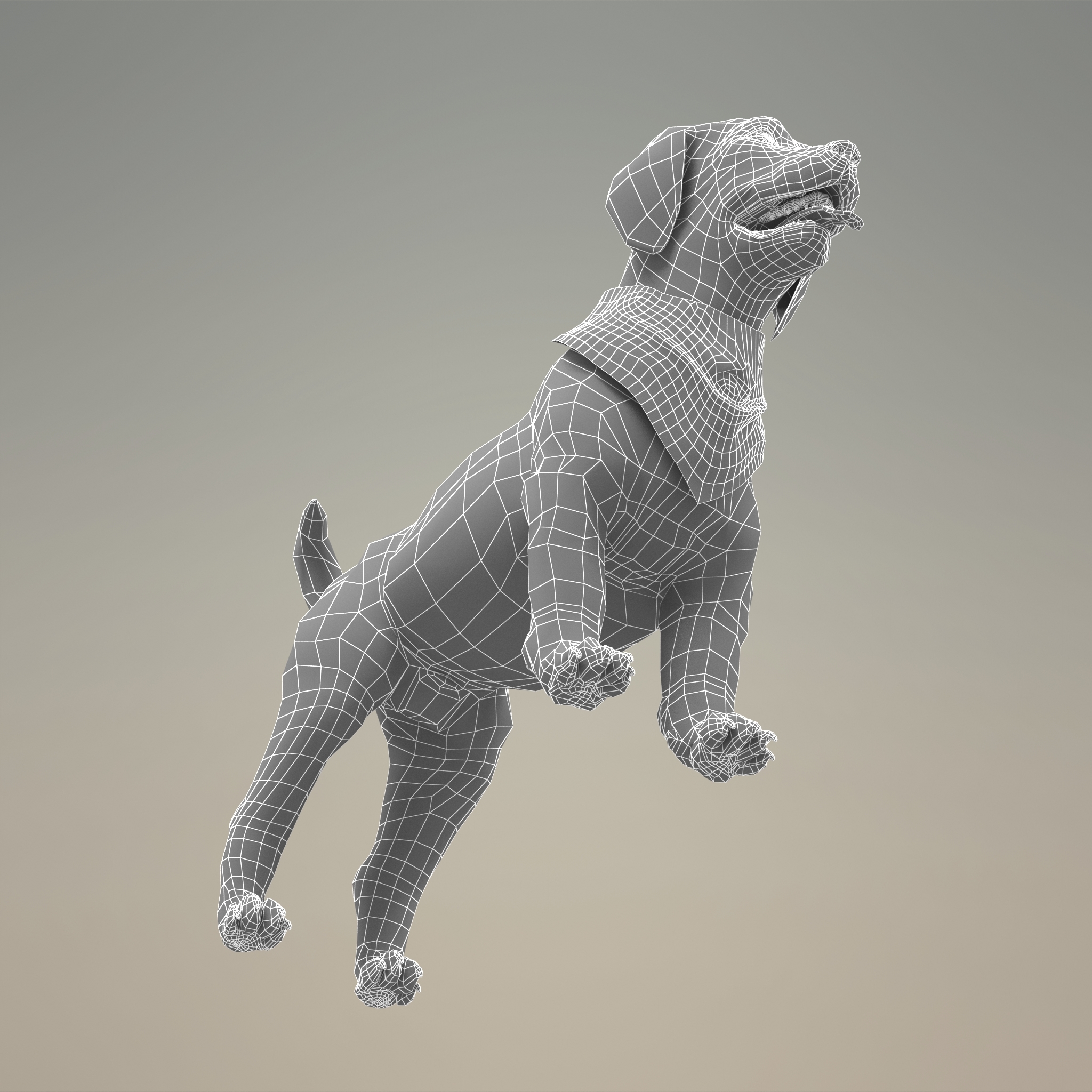 与毛皮的山狗小狗3d模型