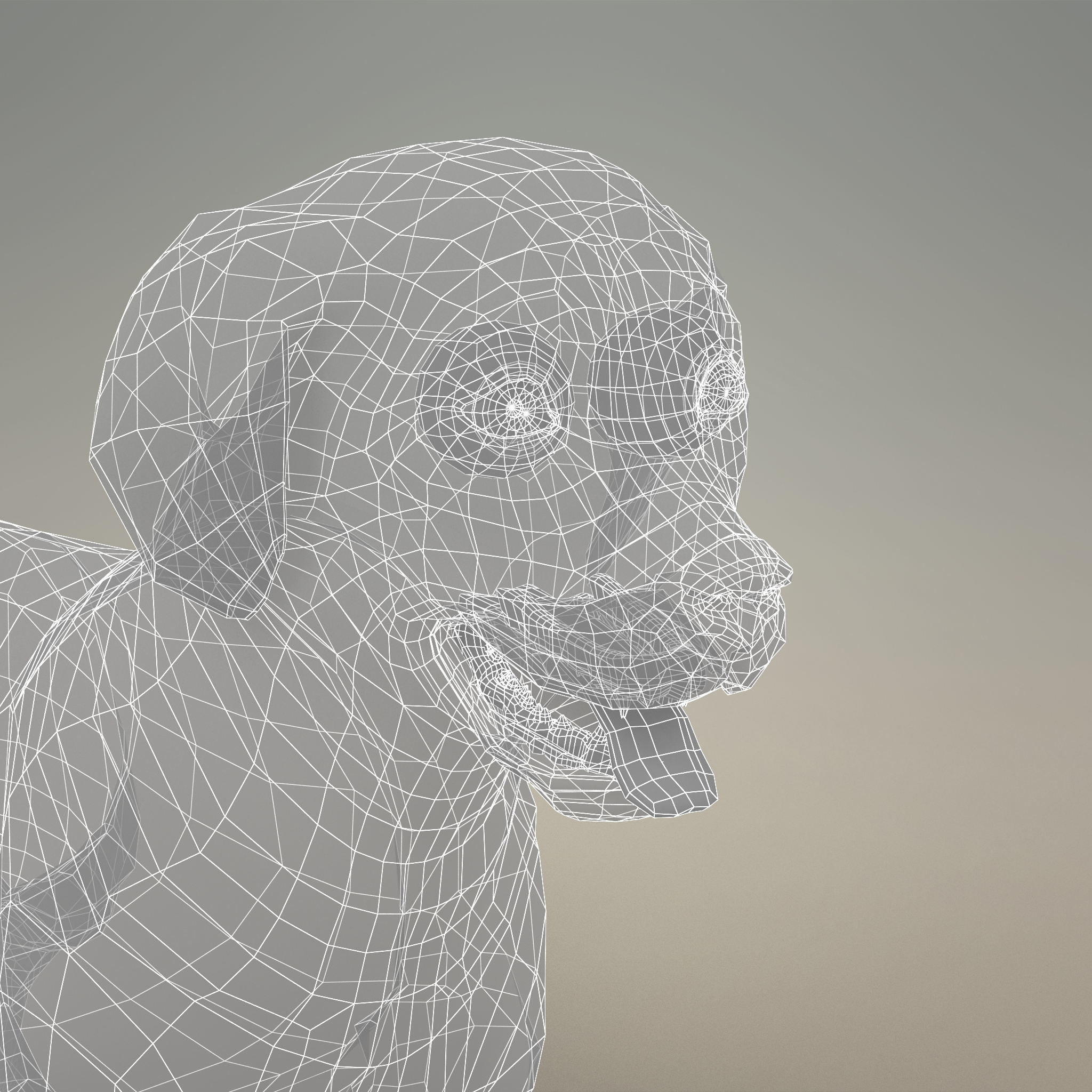 与毛皮的山狗小狗3d模型