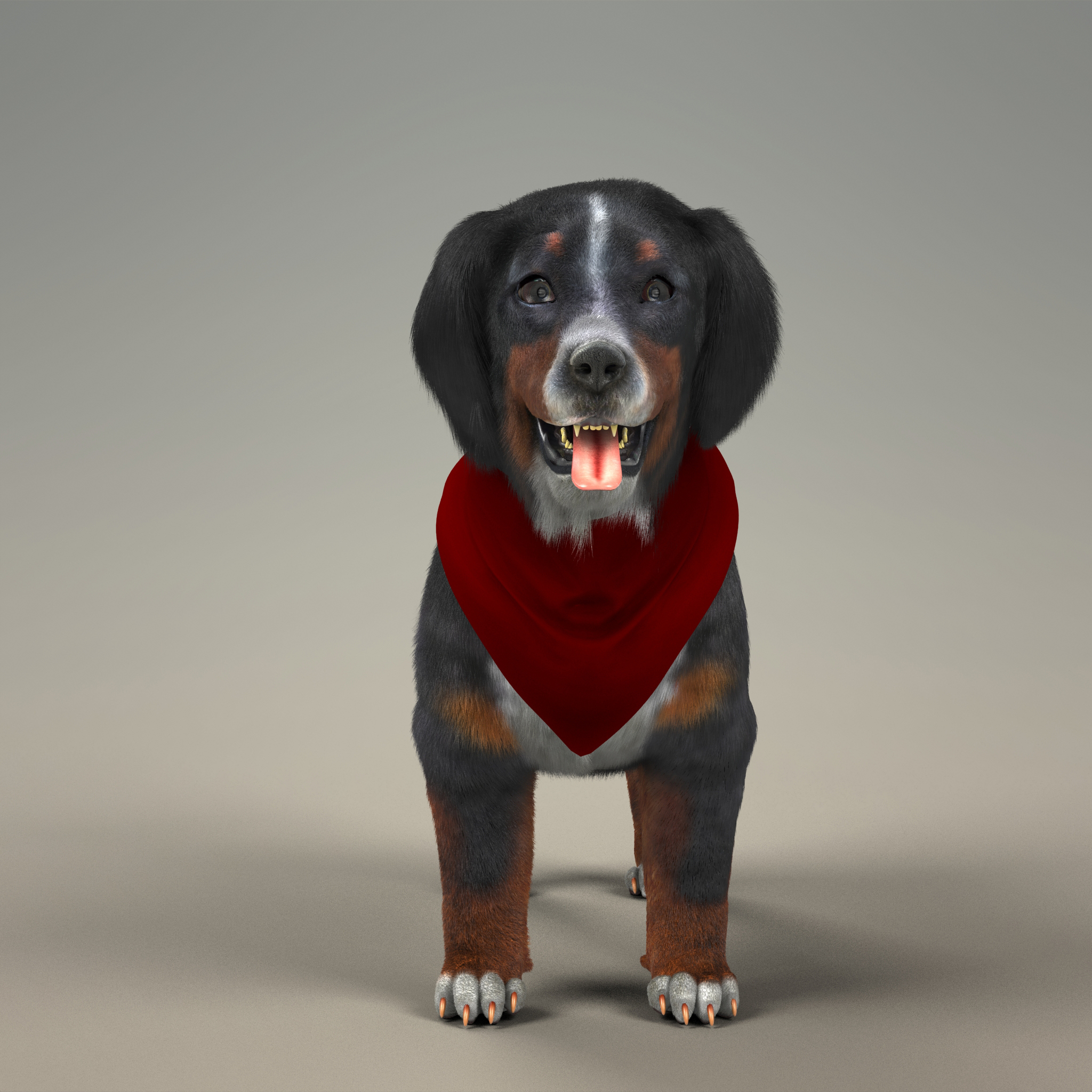 与毛皮的山狗小狗3d模型