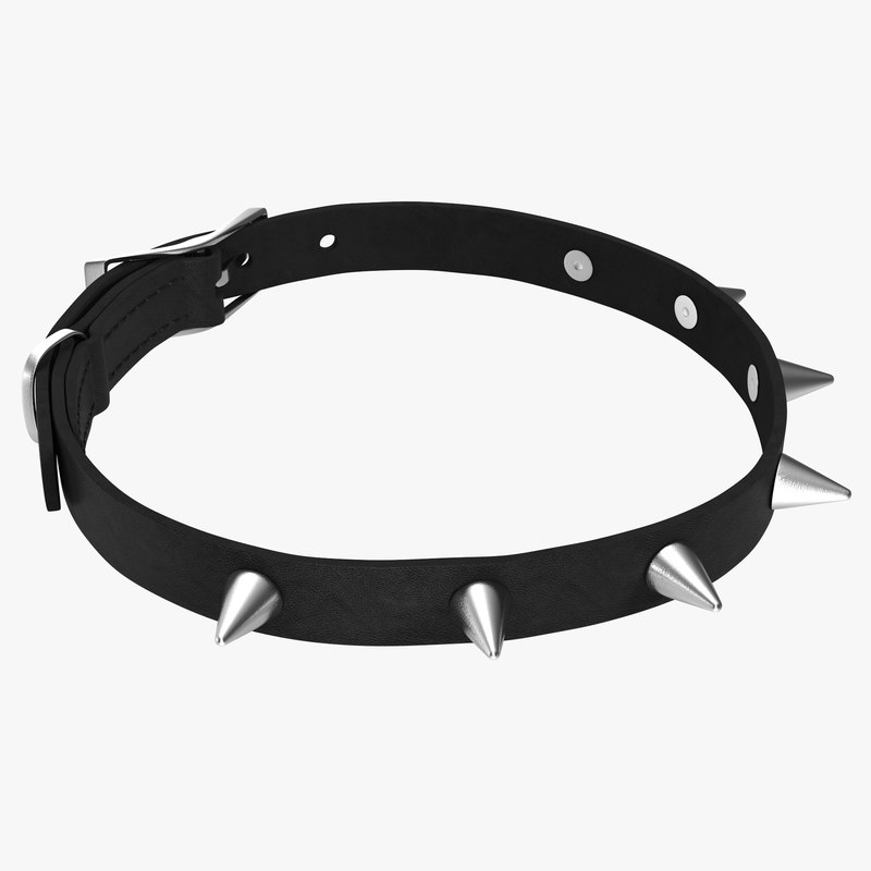 dog collar 2 3d model