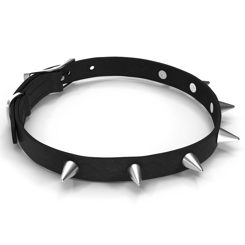 spiked dog collar 2 max
