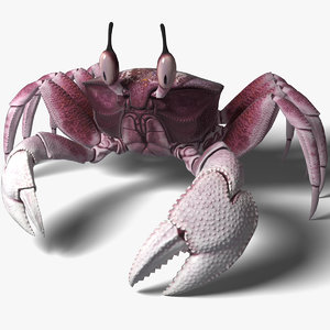 obj realistic ghost crab