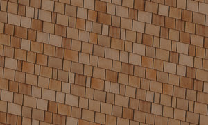 CEDAR SHAKES PROCEDURAL MAP