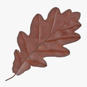 oak leaf brown 3d model