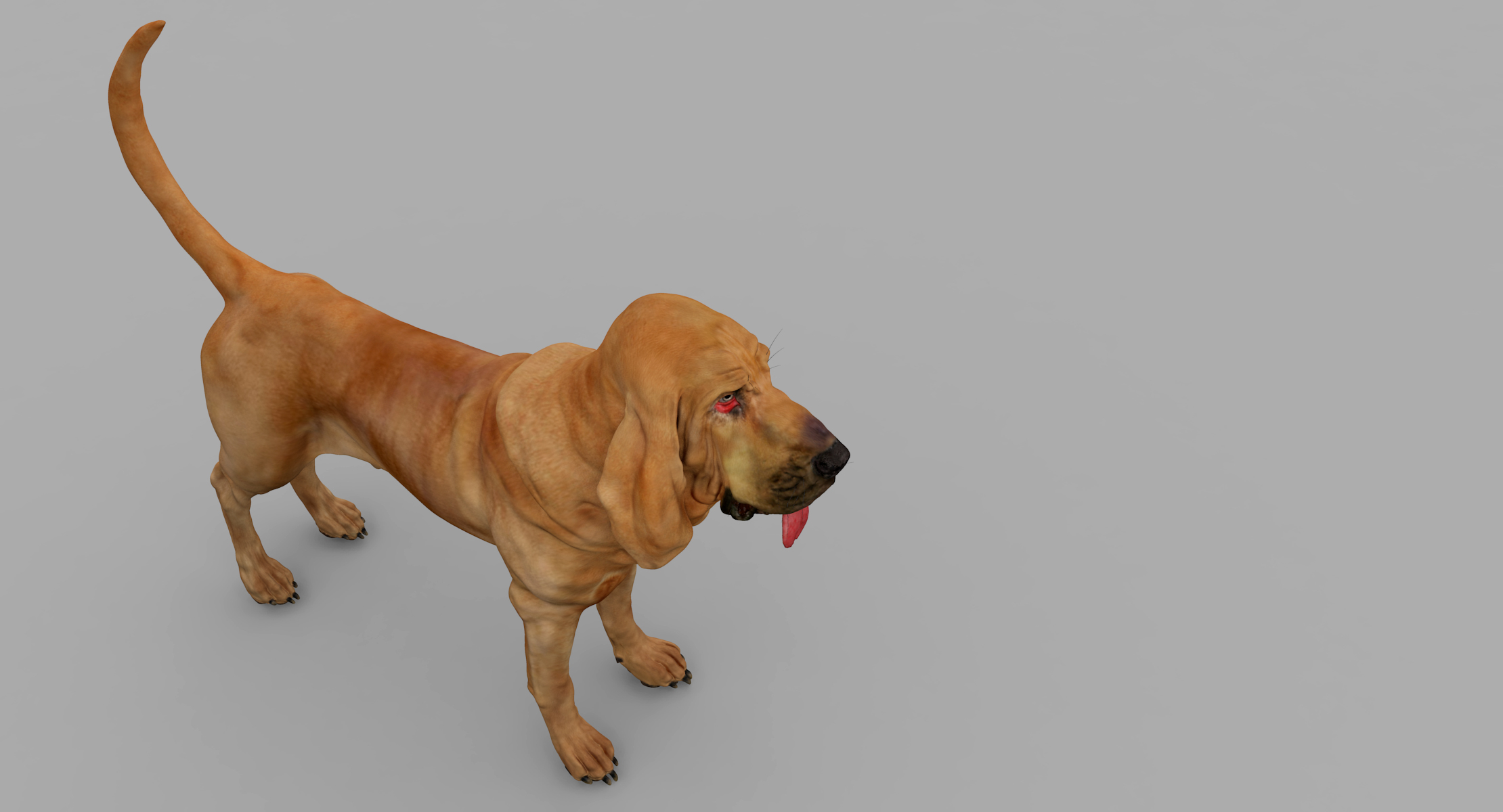 bloodhound tan dog 3d model