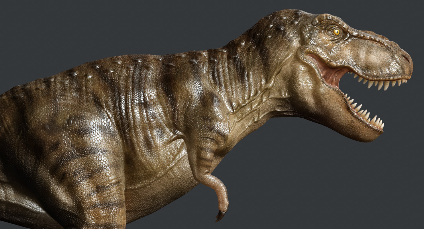 tyrannosaurus rex (animated)