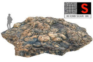 3d coral reef ground scan model