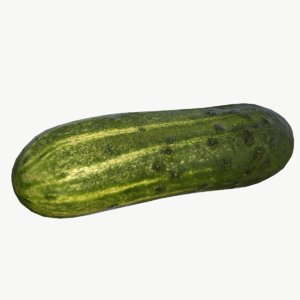 blend realistic cucumber