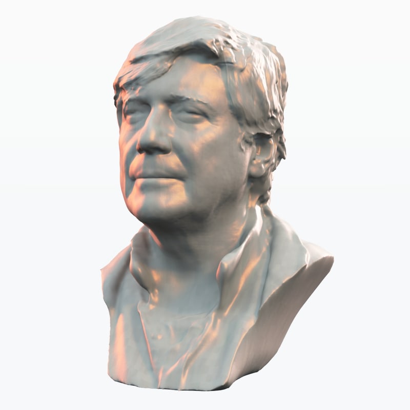 3d human head bust