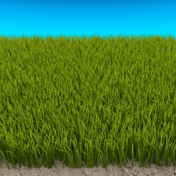 Три травы. 3d Podium grass. Трава 3l. Grass 3d model. 3d Podium grass field.