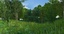 3d meadow ready games forest model