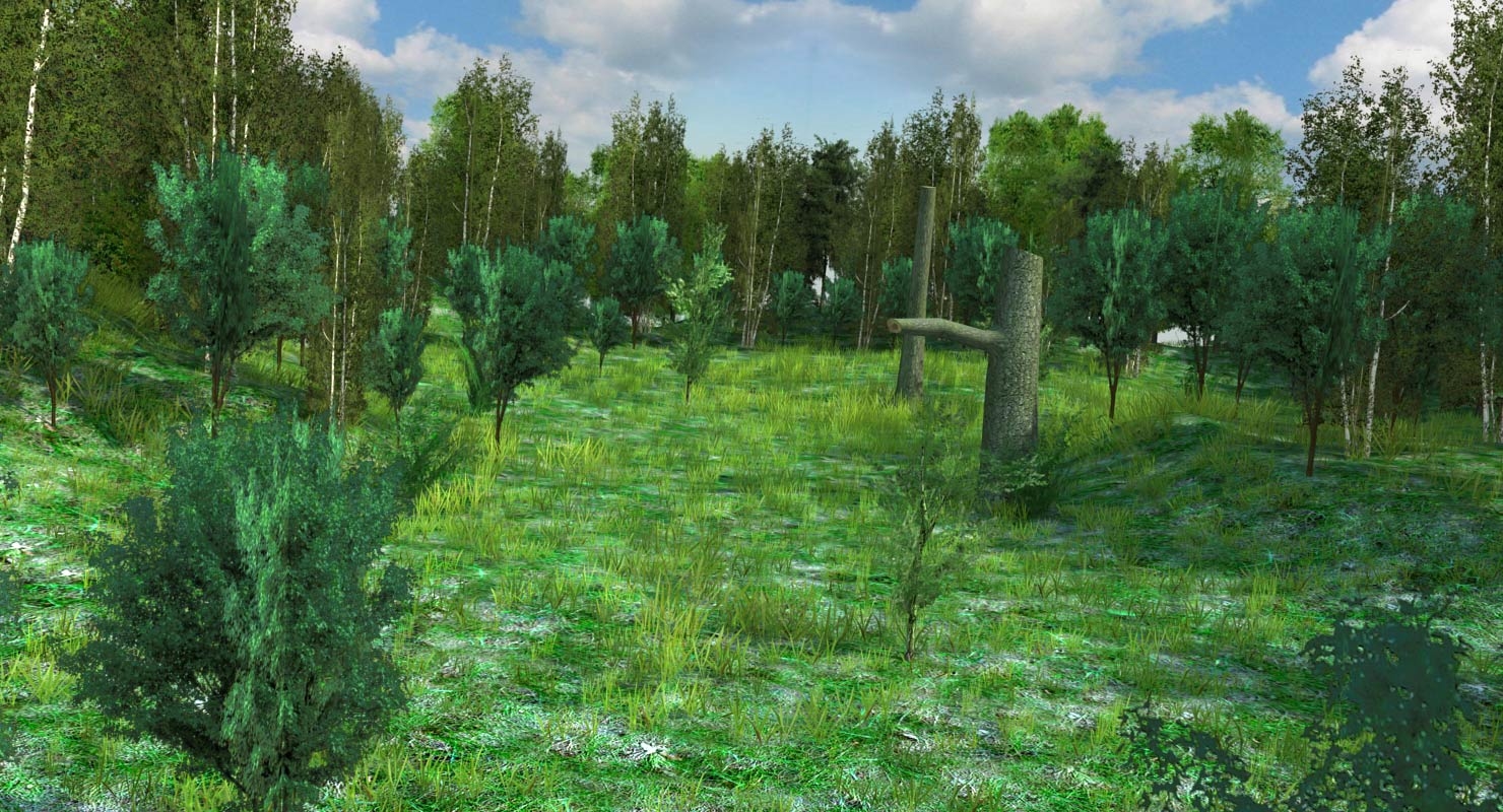 森林草甸游戏准备好的风景3d模型