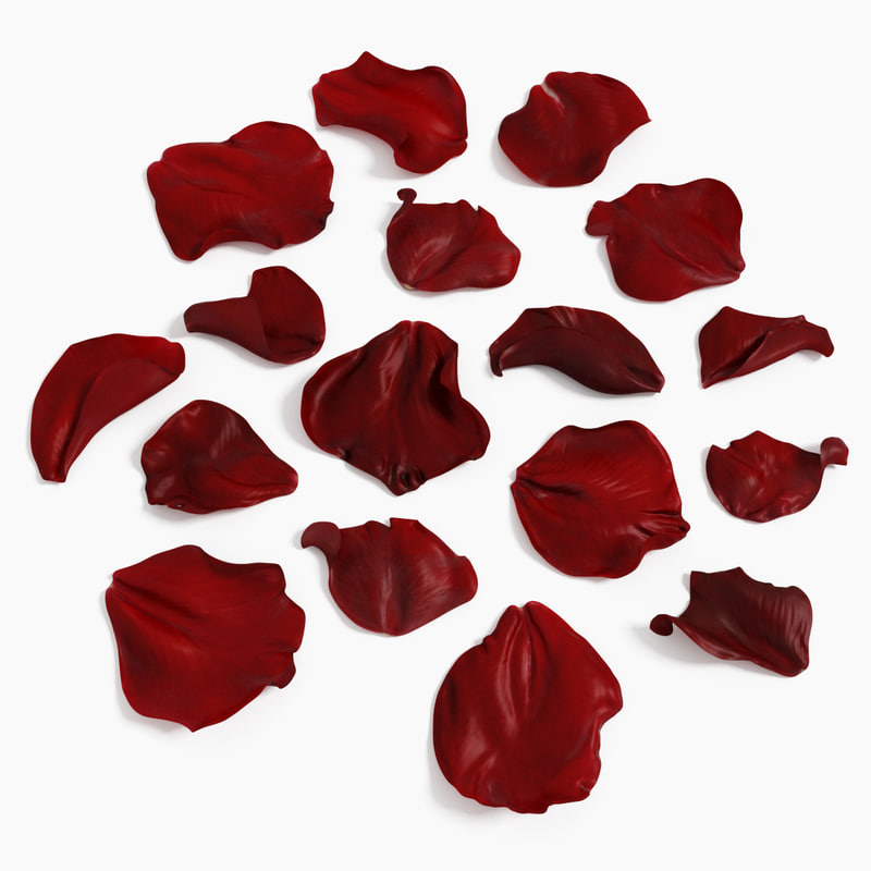 x realistic rose petals 