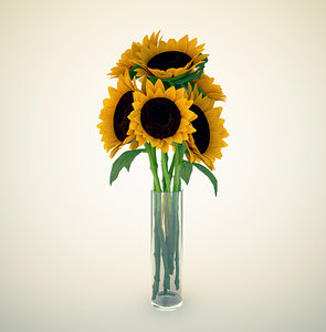 3d sunflower model