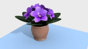 violets 3d model