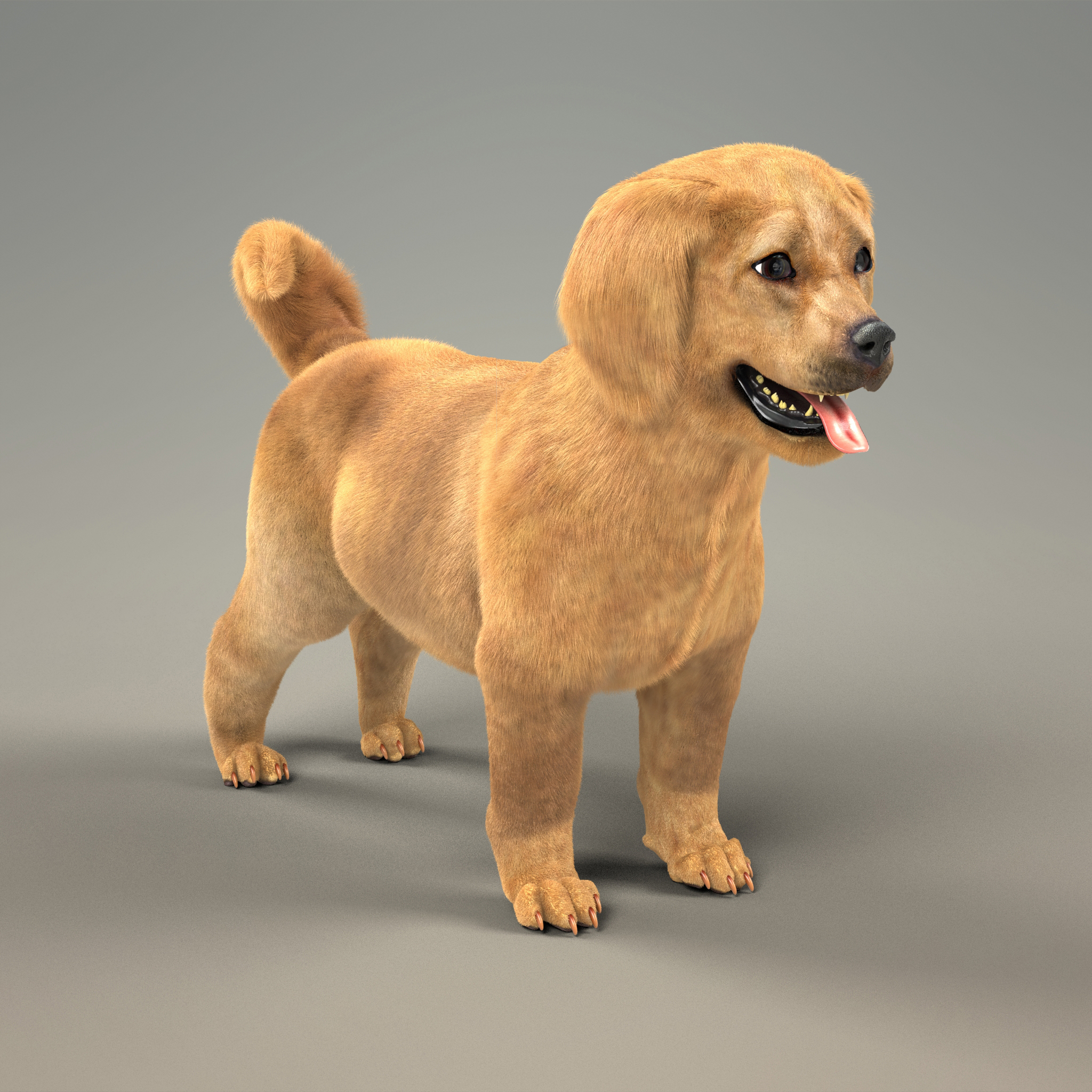 猎犬小狗与毛皮3d模型