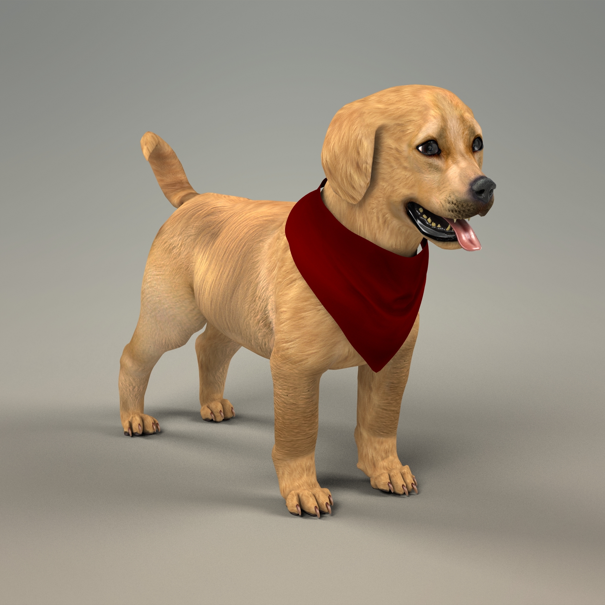 猎犬小狗与毛皮3d模型