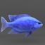 fish animation max