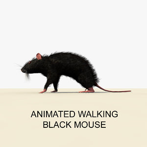 black mouse animations c4d