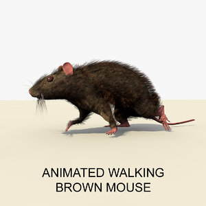 brown mouse animations c4d