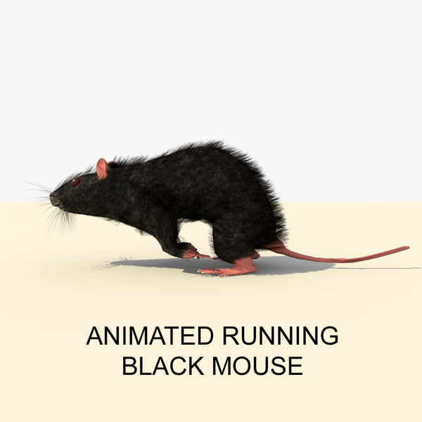 アニメーションランニングブラックマウス3dモデル Turbosquid