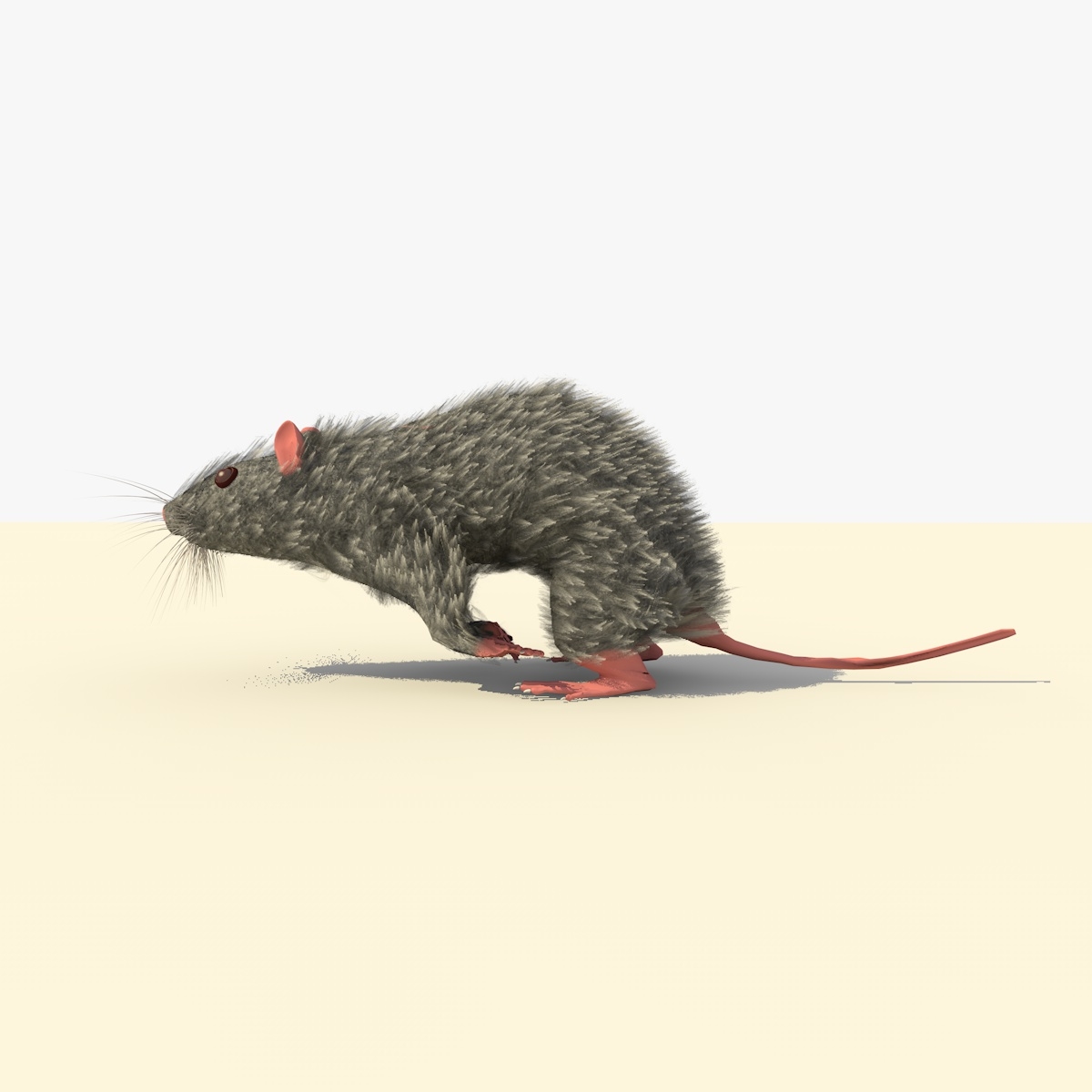 grey running mouse animations c4d