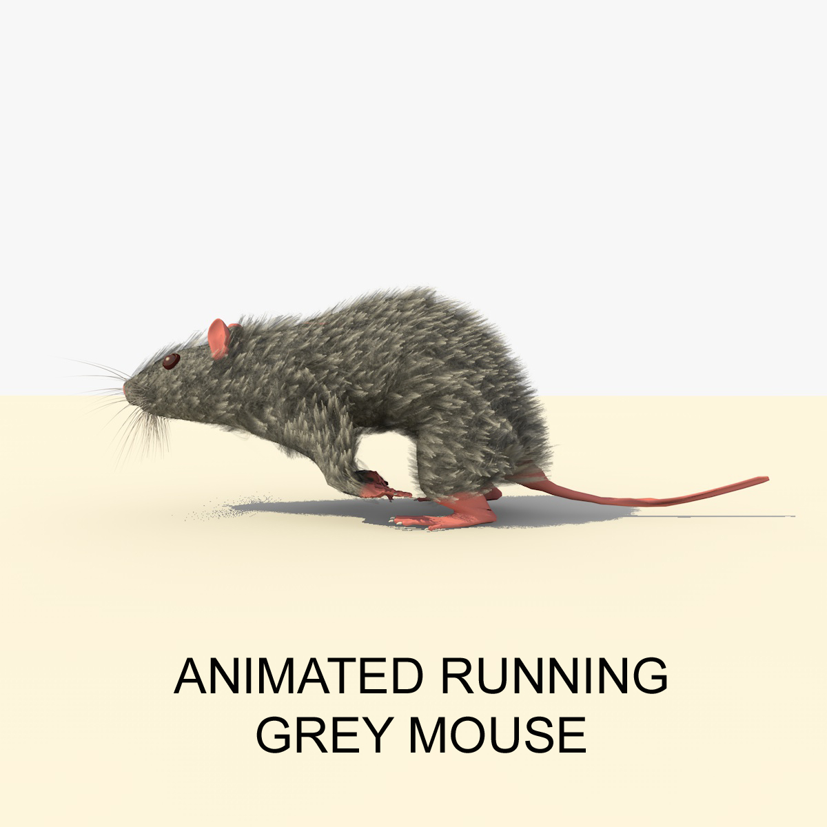 The mouse is running