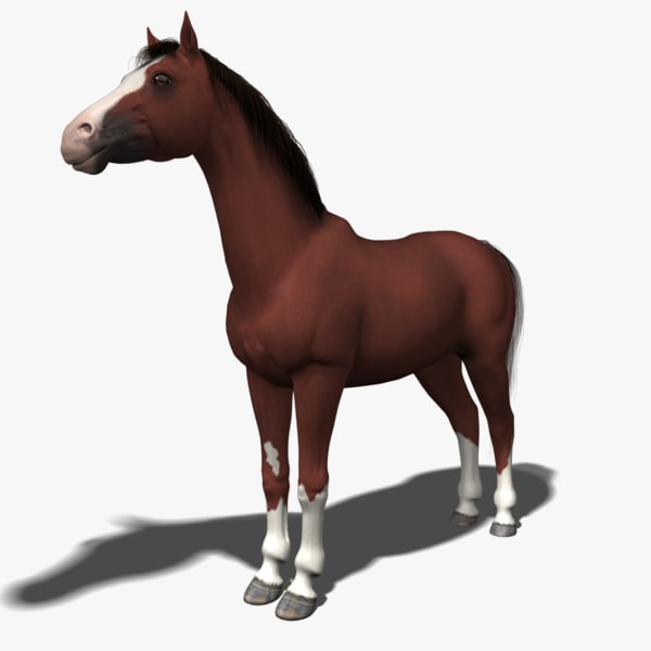 3d modeled mane tail