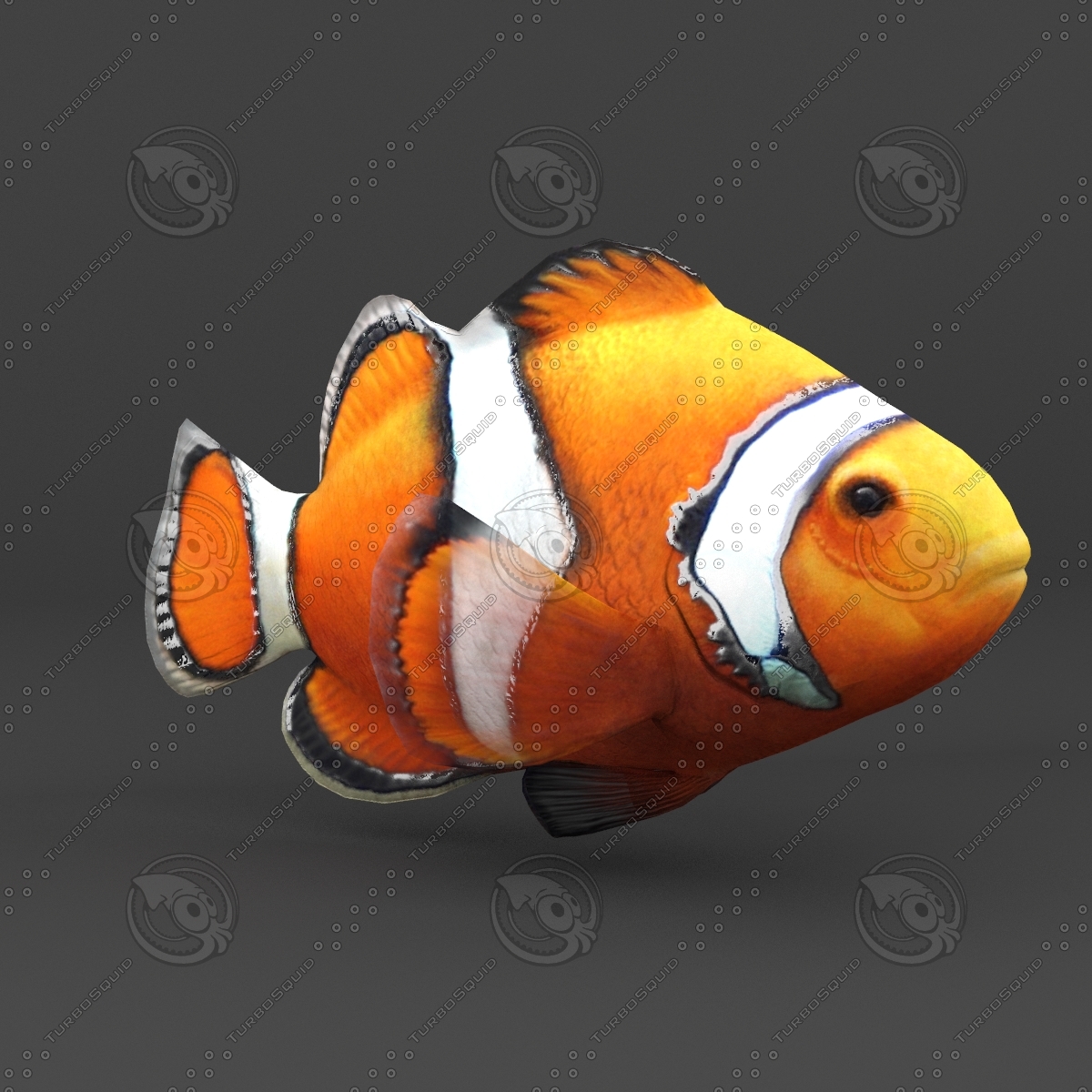 3d fish animation