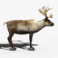 reindeer modeled 3d model