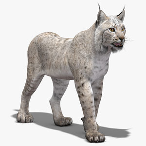 lynx white rigging animation 3d max