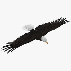 3ds max bald eagle rigged