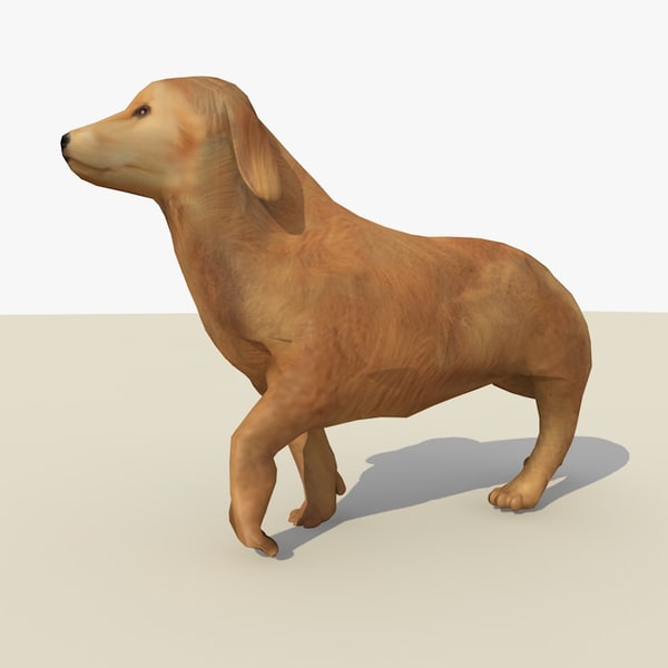 3d model golden retriever dog animations