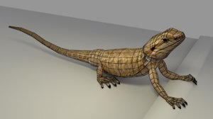 3d model of low-poly dragon bearded