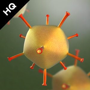adenovirus virus 3d max