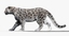 snow leopard fur cat 3d 3ds