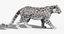 snow leopard fur cat 3d 3ds