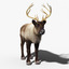 3d model reindeer fur rigged