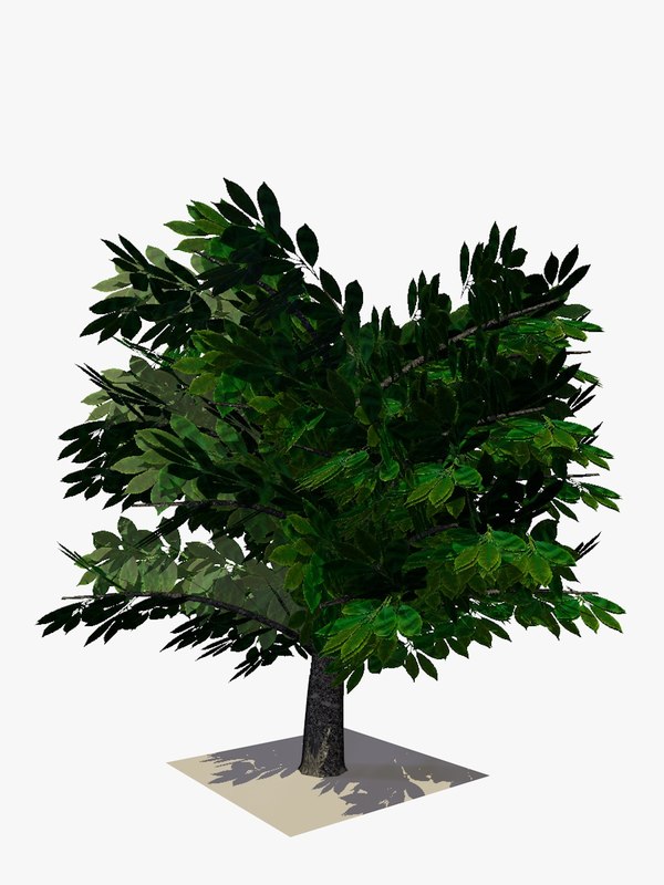 3d bush  animations tree  model 