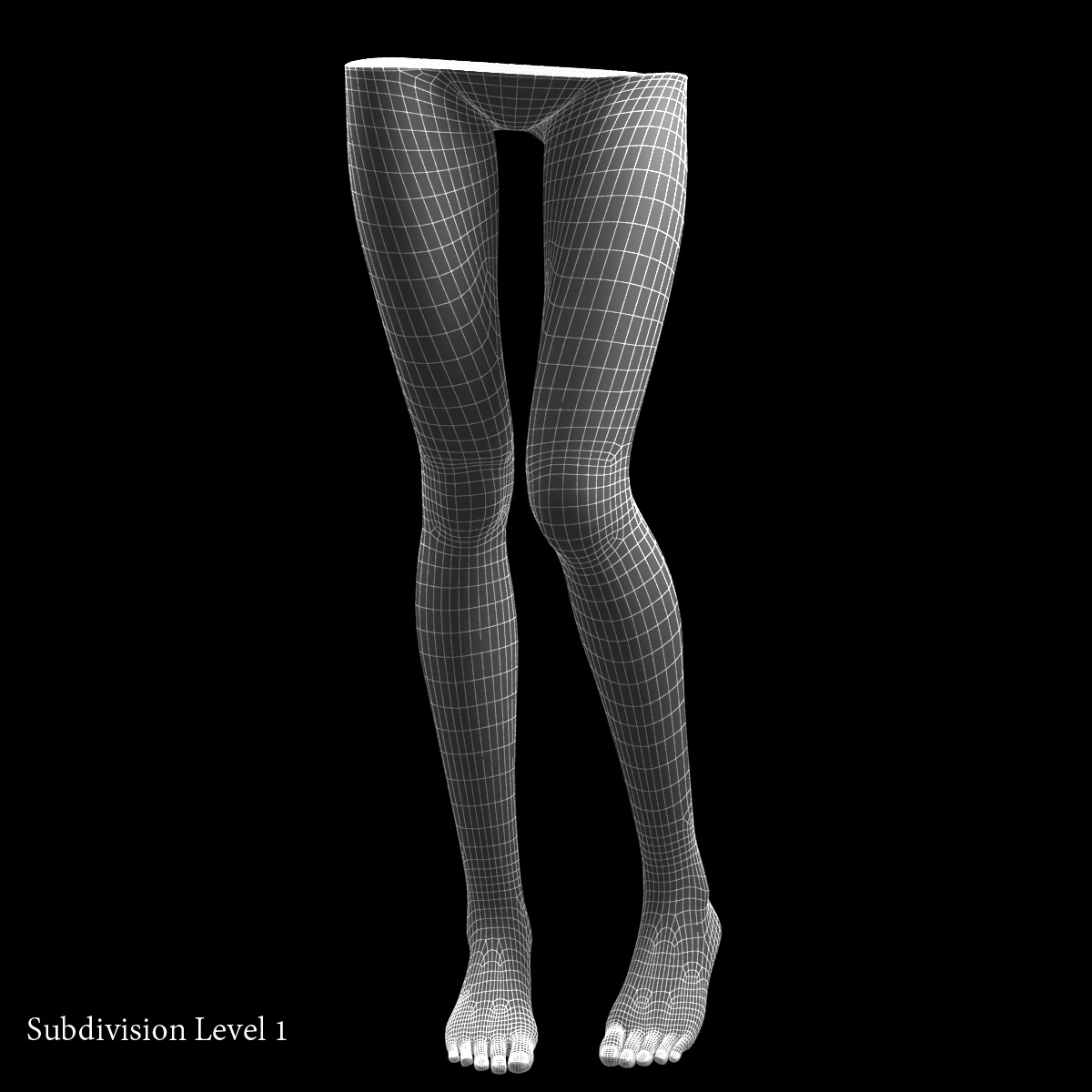 3d Female Legs