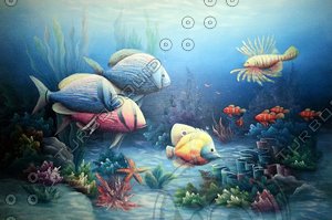 Ocean floor