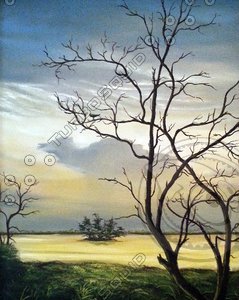 Tree by the Lake